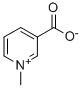 Trigonelline Struktur
