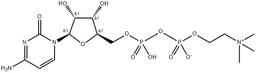 Citicoline structure