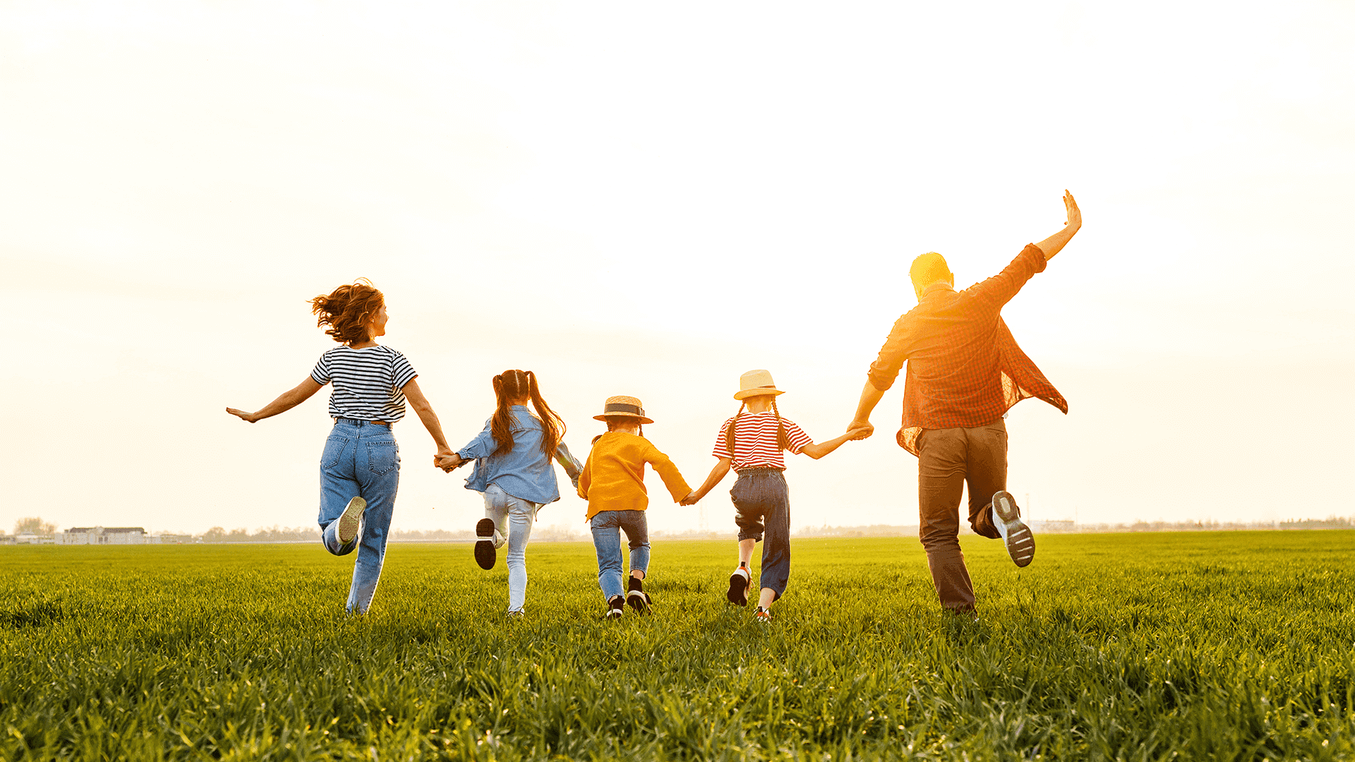 Elevating Human Health with Advanced Functional Ingredients